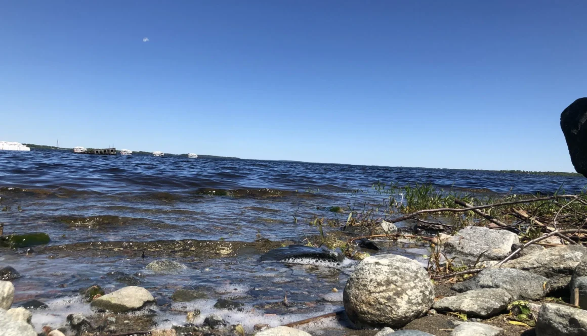 Flooding - Rainy Lake June 2022 (5)