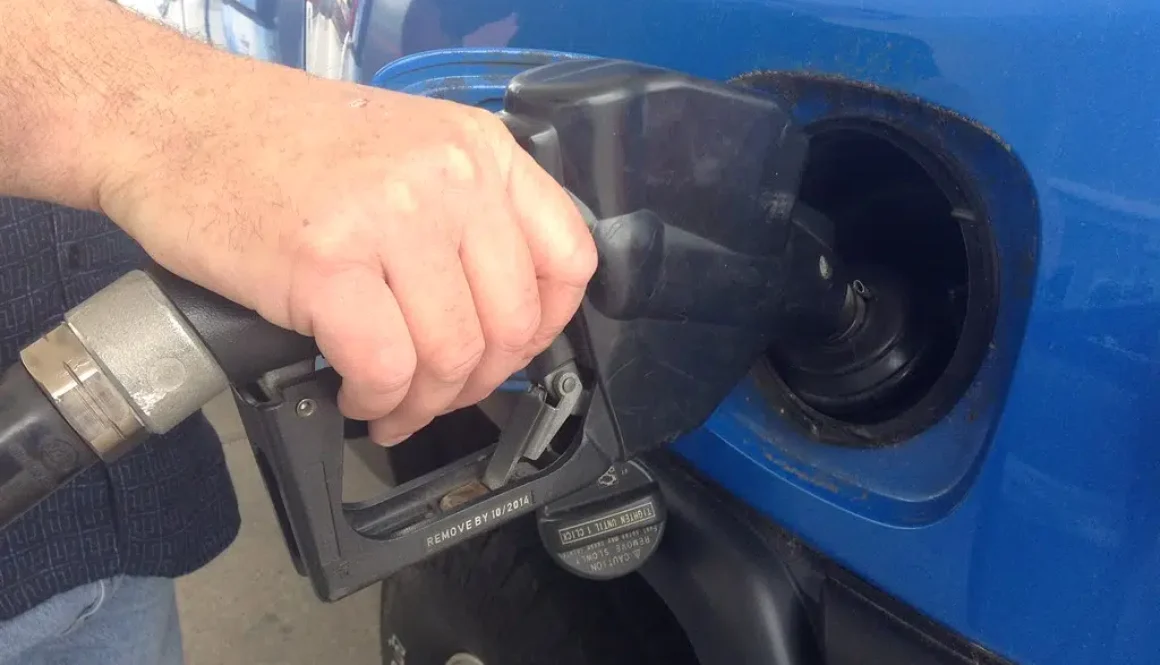 Pumping Gas Nozzle Pump