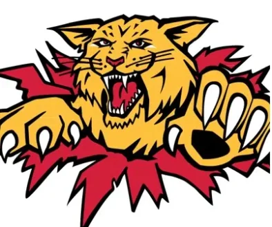 moncton wildcats