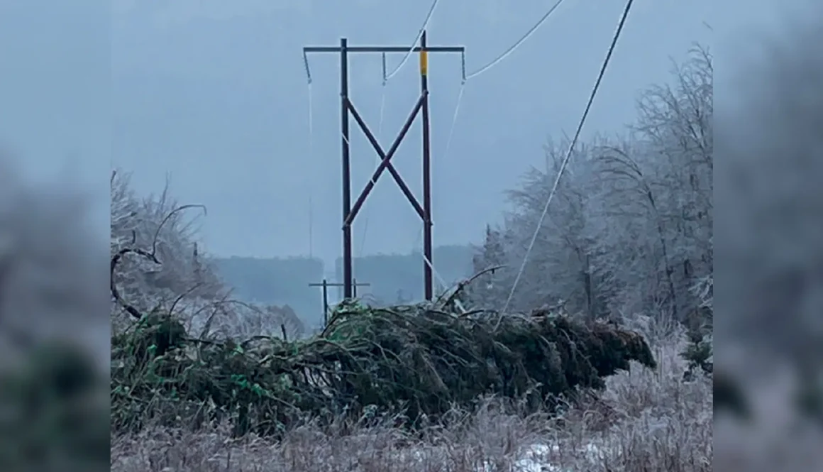 Winter Storm Damage NB