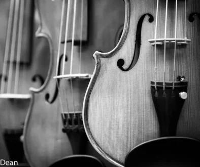 Row of fiddles