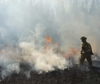 wildfirepic
