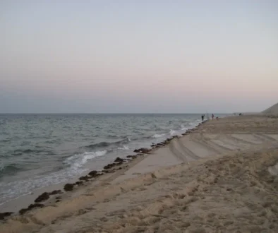 Sealine beach