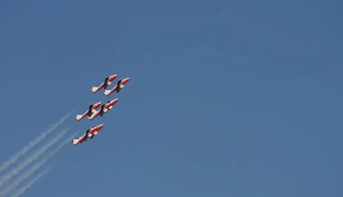 Snowbirds