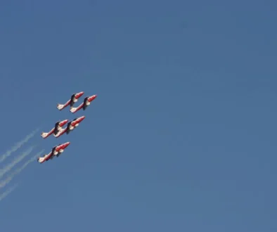 Snowbirds