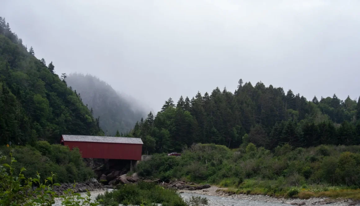 red and white house near green trees and river during daytime