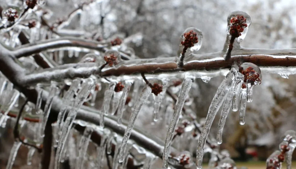 Freezing Rain