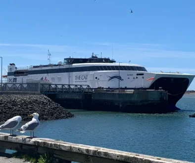 cat ferry