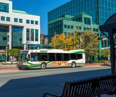 Codiac Transpo Bus 5