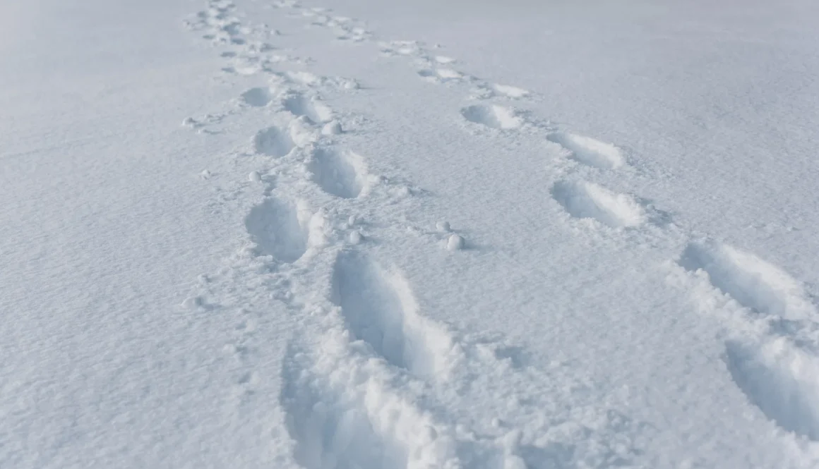 footprints on white clear snow with copy space