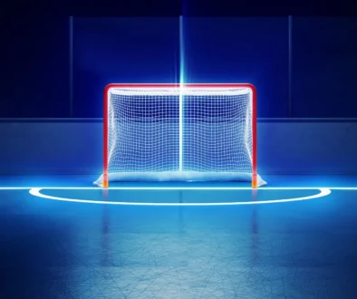 hockey ice rink and goal
