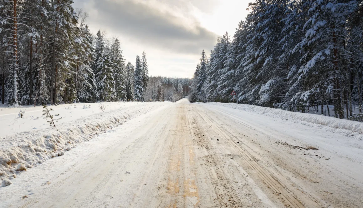 Winter road in snowy forest