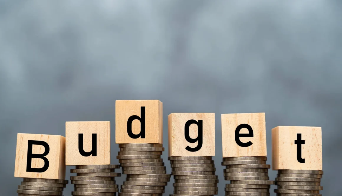 Money annual budget concept. stacked coins and wooden cubes with word Budget on coins background. Free space for advertising materials