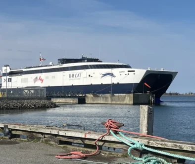 CAT Ferry