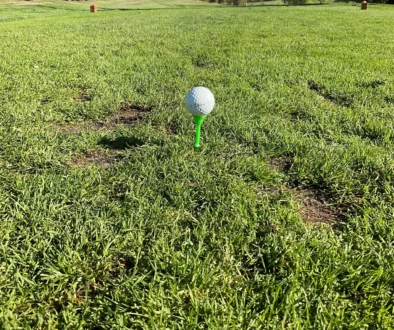 beauty bay tee off