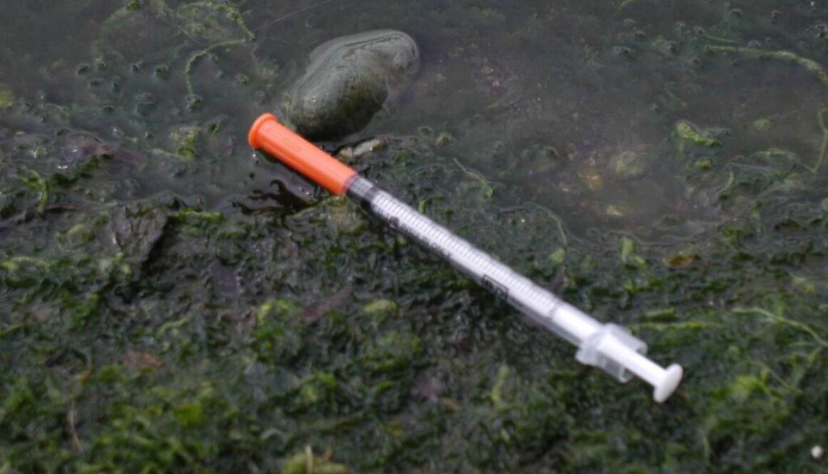 Needle on ground 2(1)