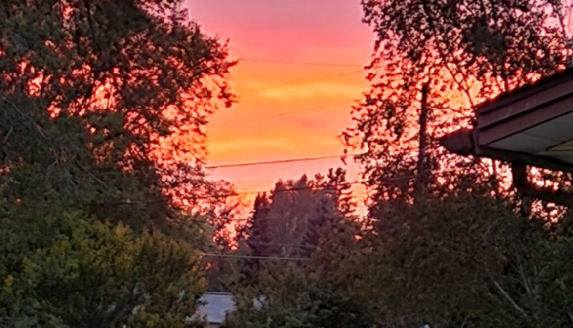 sunsetcountryphotooftheday