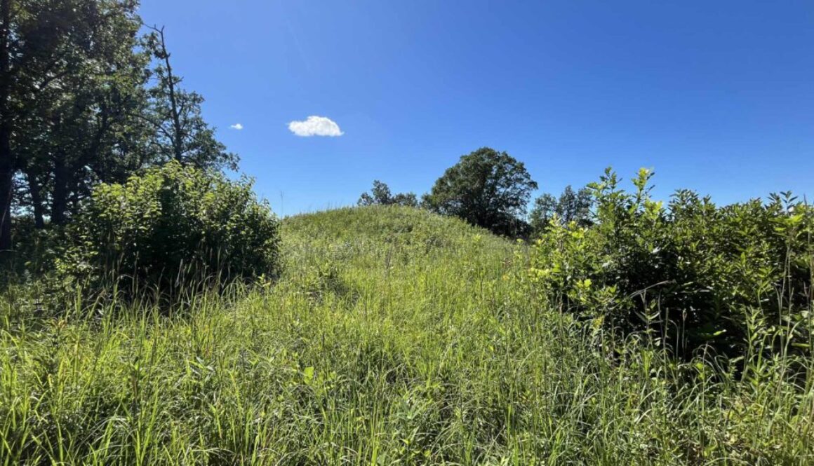 MANITOU MOUNDS LARGEST MOUND