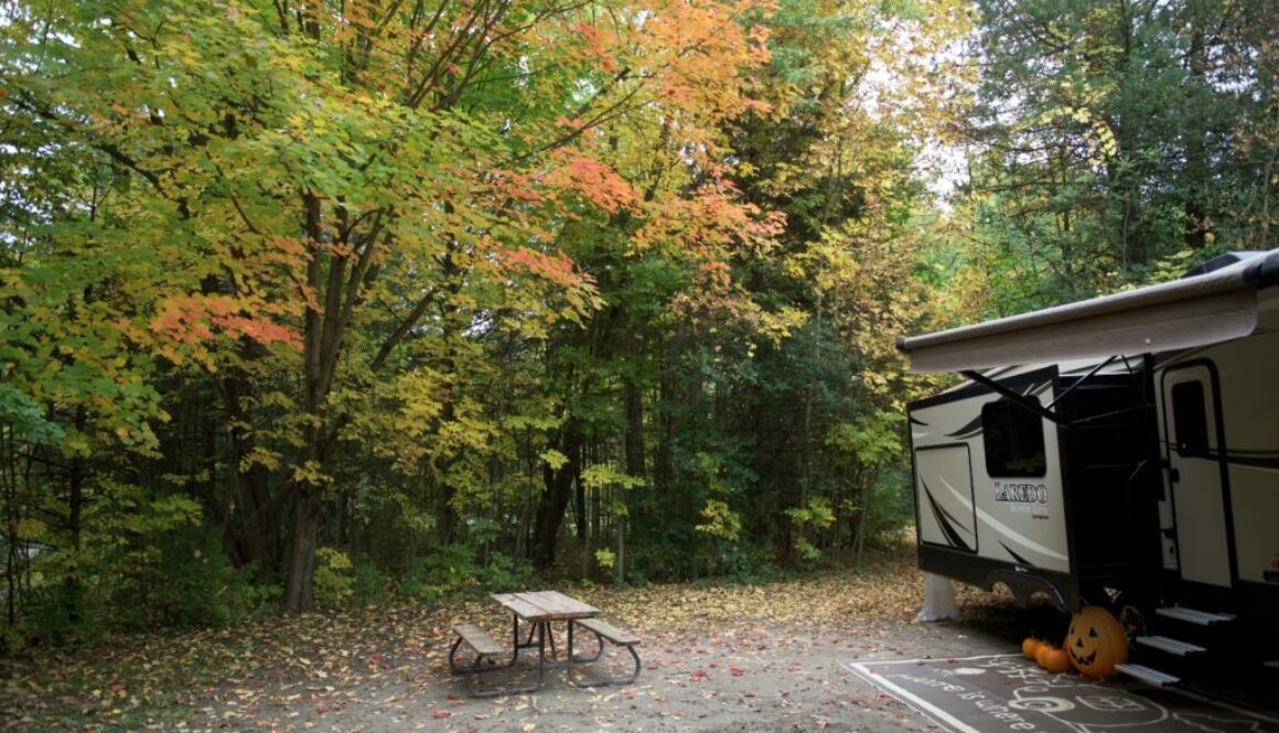 Campsite at provincial park - Ontario Park Sept 2025