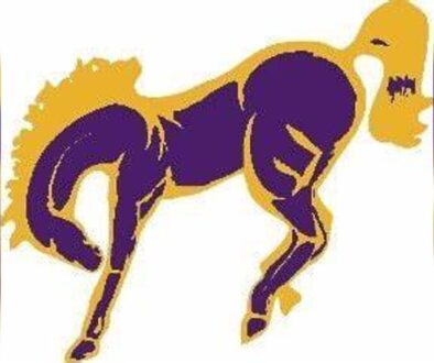 International Falls Broncos logo 3