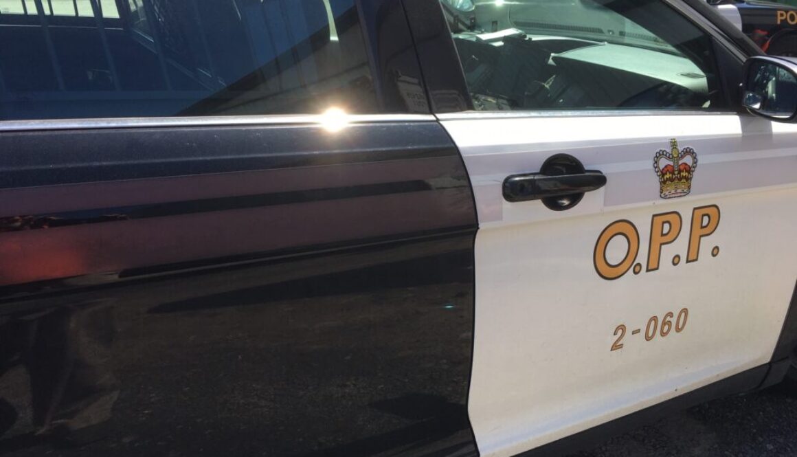 OPP cruiser logo
