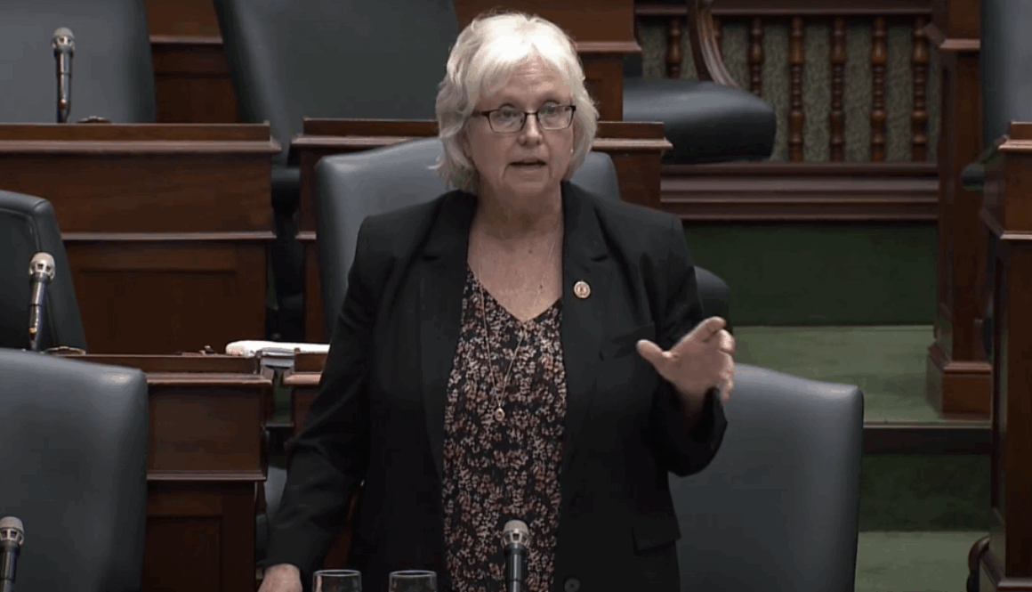 Peggy Sattler Screen Capture via YouTube