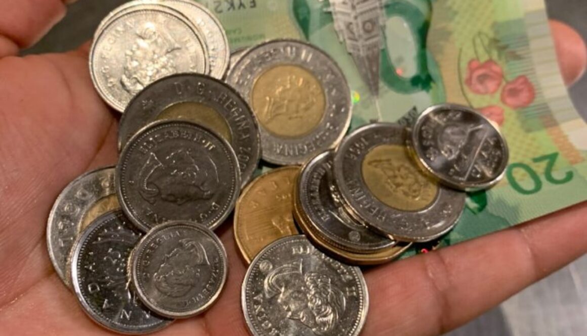 two-toned coins with banknote on hand