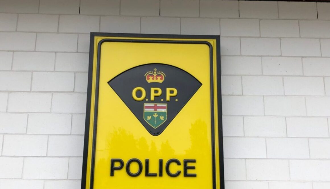 opp logo building
