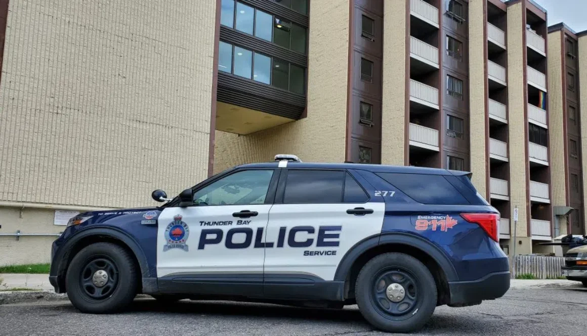 tbay-homicide-11-1024x576