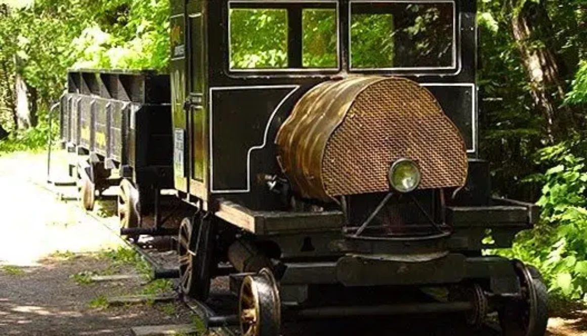 The Muskeg Express at Centennial Park - Supplied Photo via City of Thunder Bay