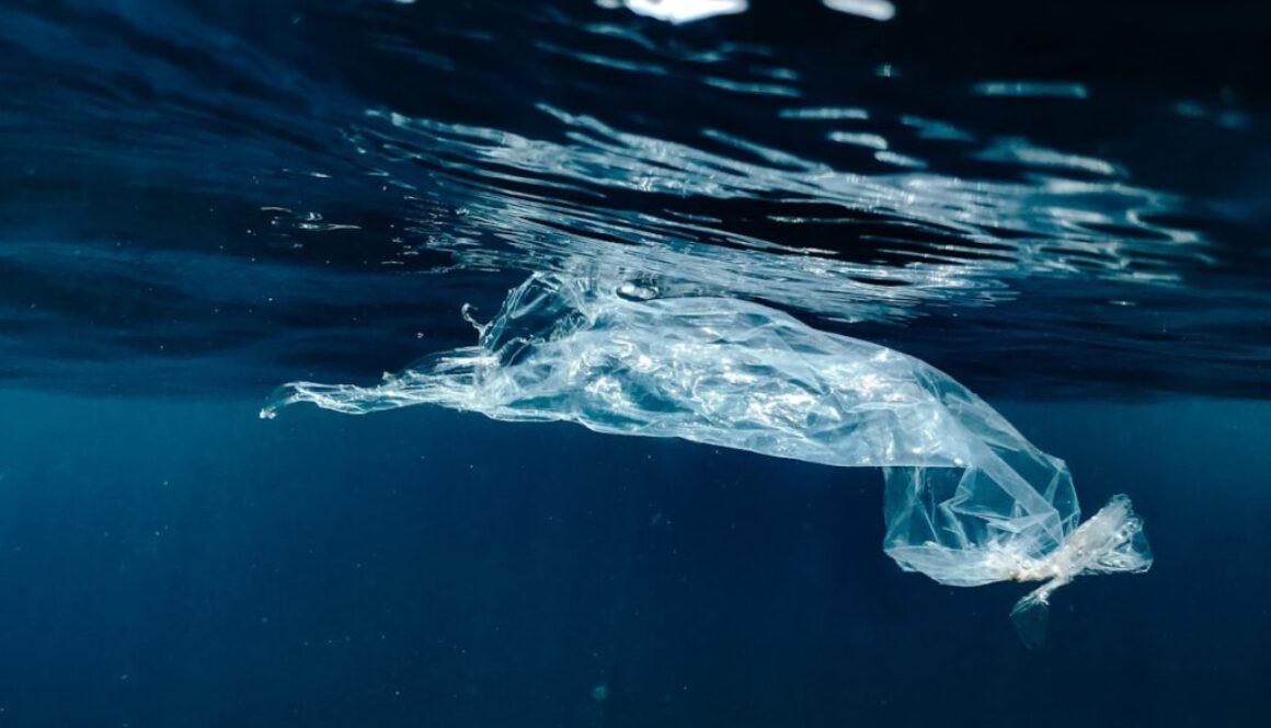 A plastic bag floating in the water