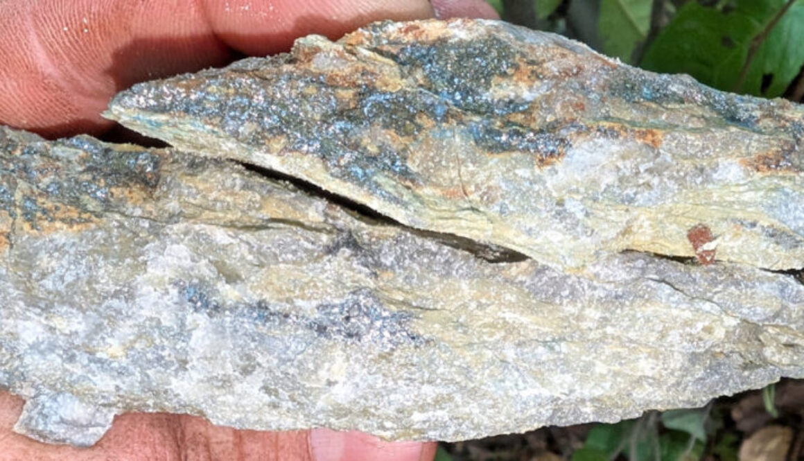 Bold Ventures Wilcorp-Grab-Sample-photo