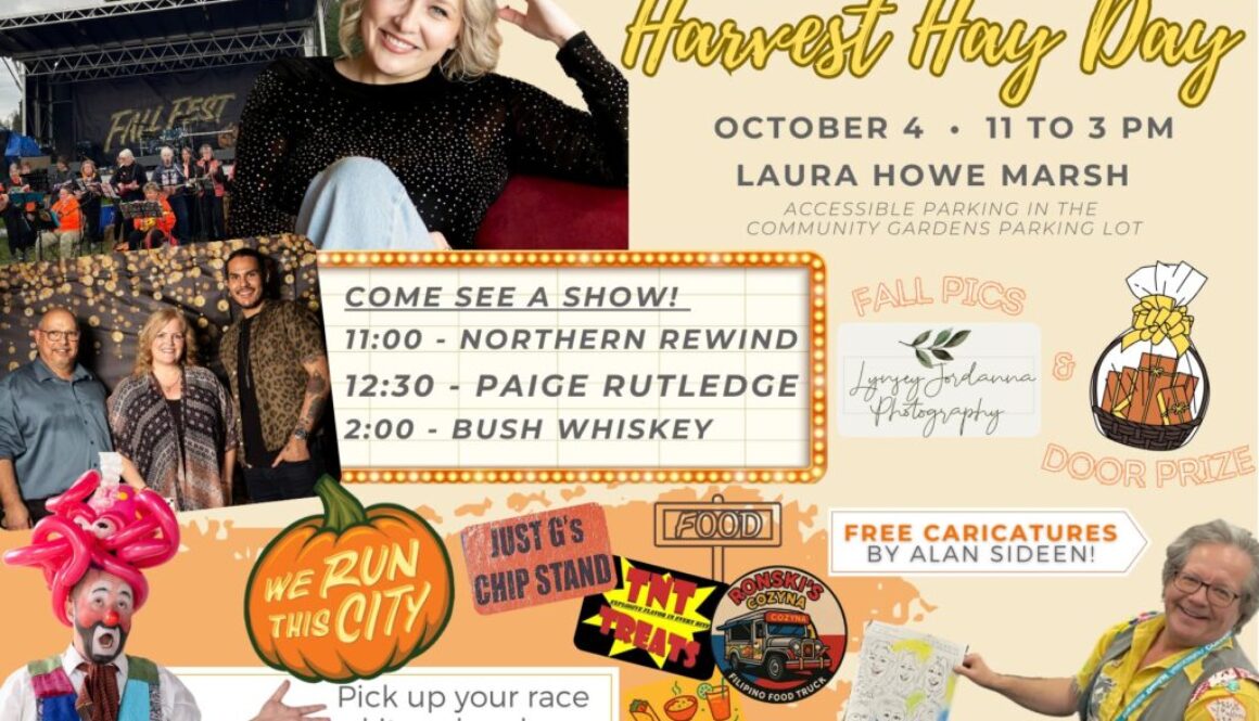 Dryden Fall Fest poster