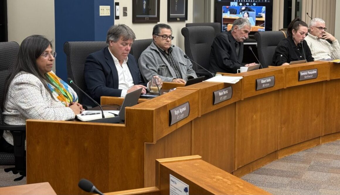 Thunder Bay City Council