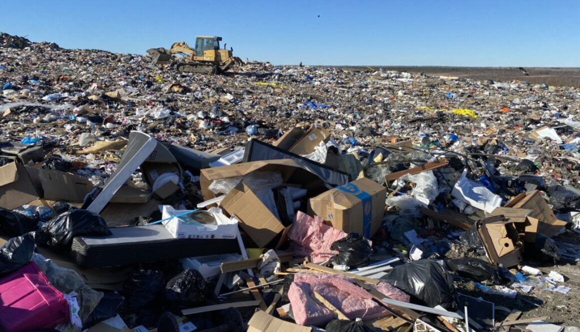 Landfill site Oct 2024 (9)