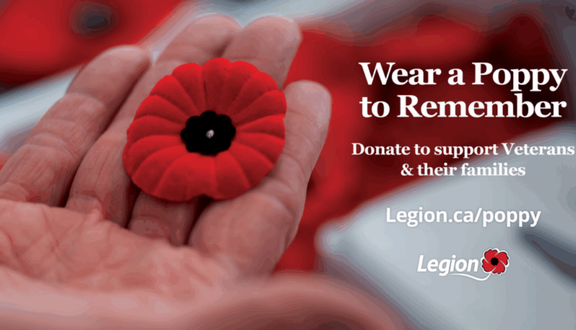 Legion Poppy campaign 2025