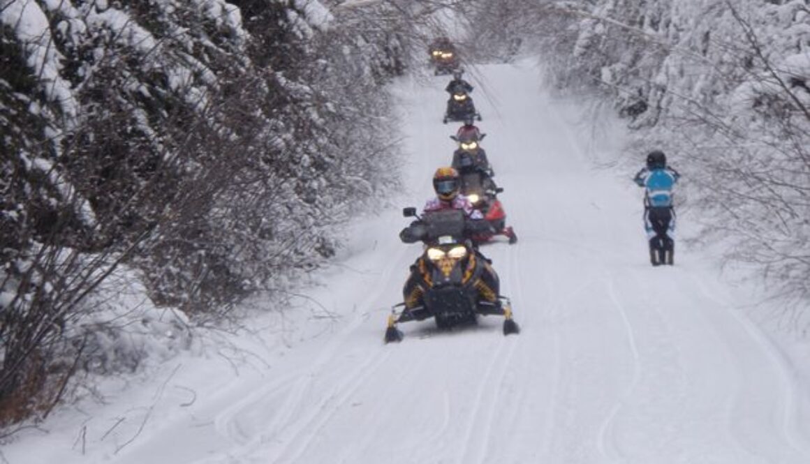 Snowmobile trail - NWOSTA photo