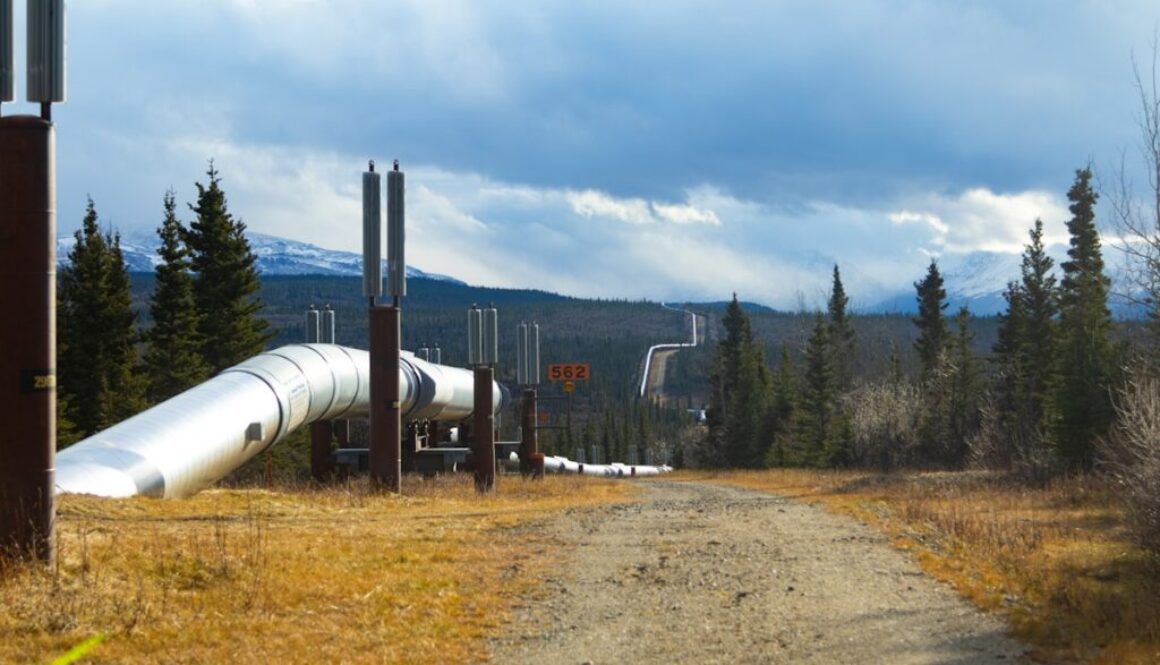 Large pipeline runs through a wooded, mountainous landscape