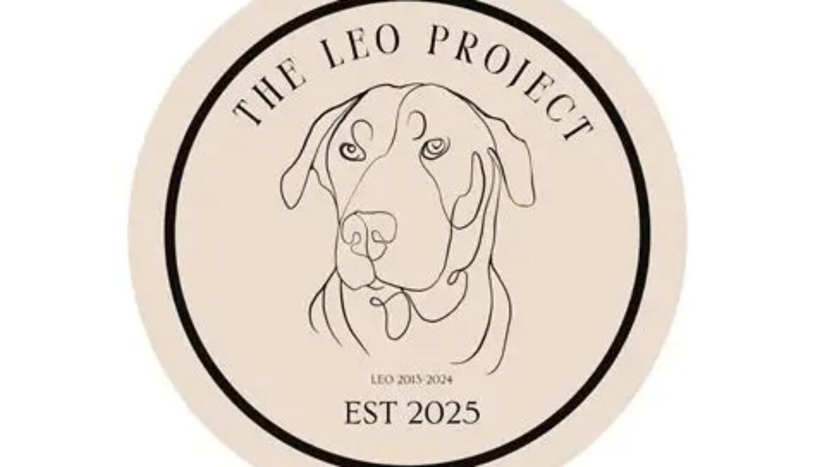 the leo project logo
