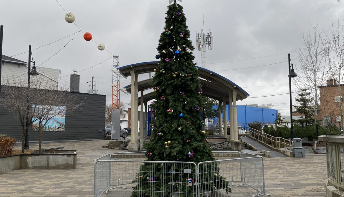 Christmas tree at Rainy Lake Square Nov 2025 (1)
