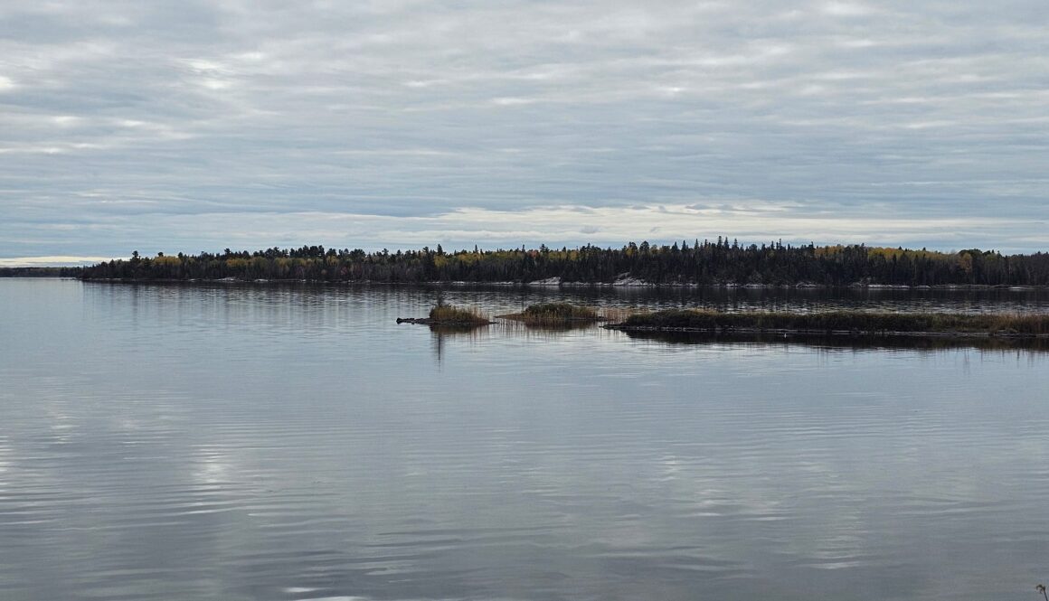 Donna October article