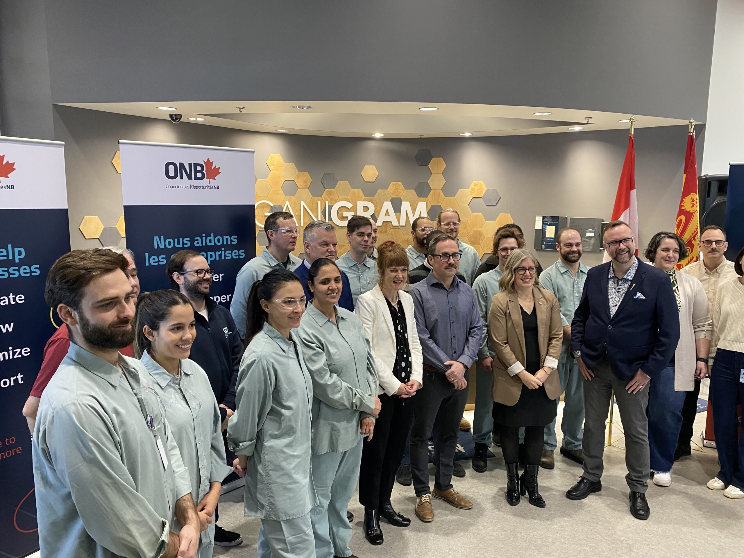 Organigram (November 2025) (Image: Tara Clow)