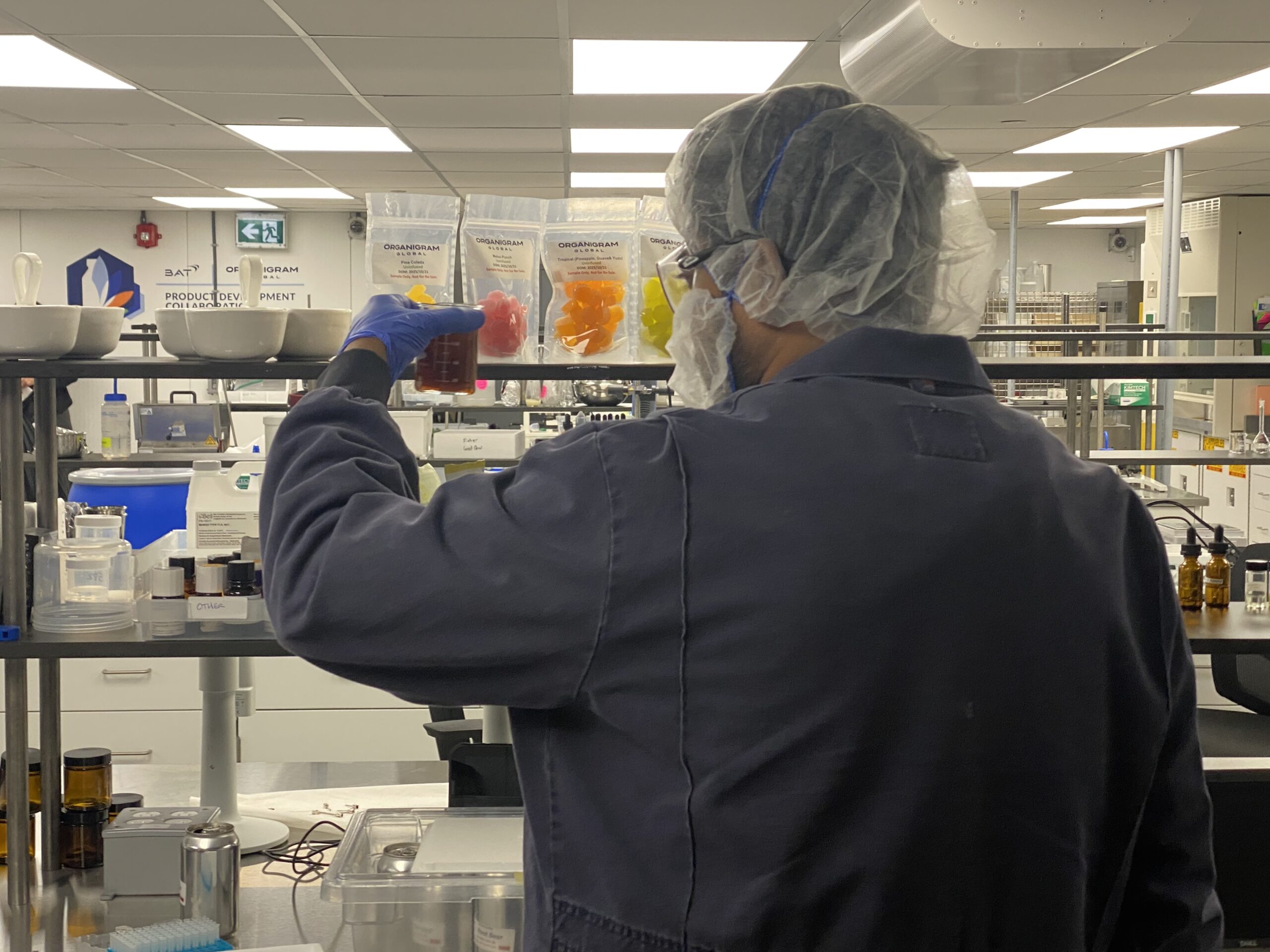 Organigram (November 2025) (Image: Tara Clow)