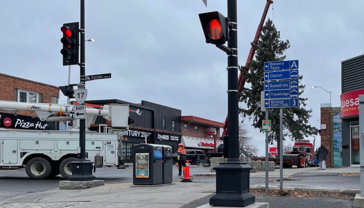 Main street tree 2025