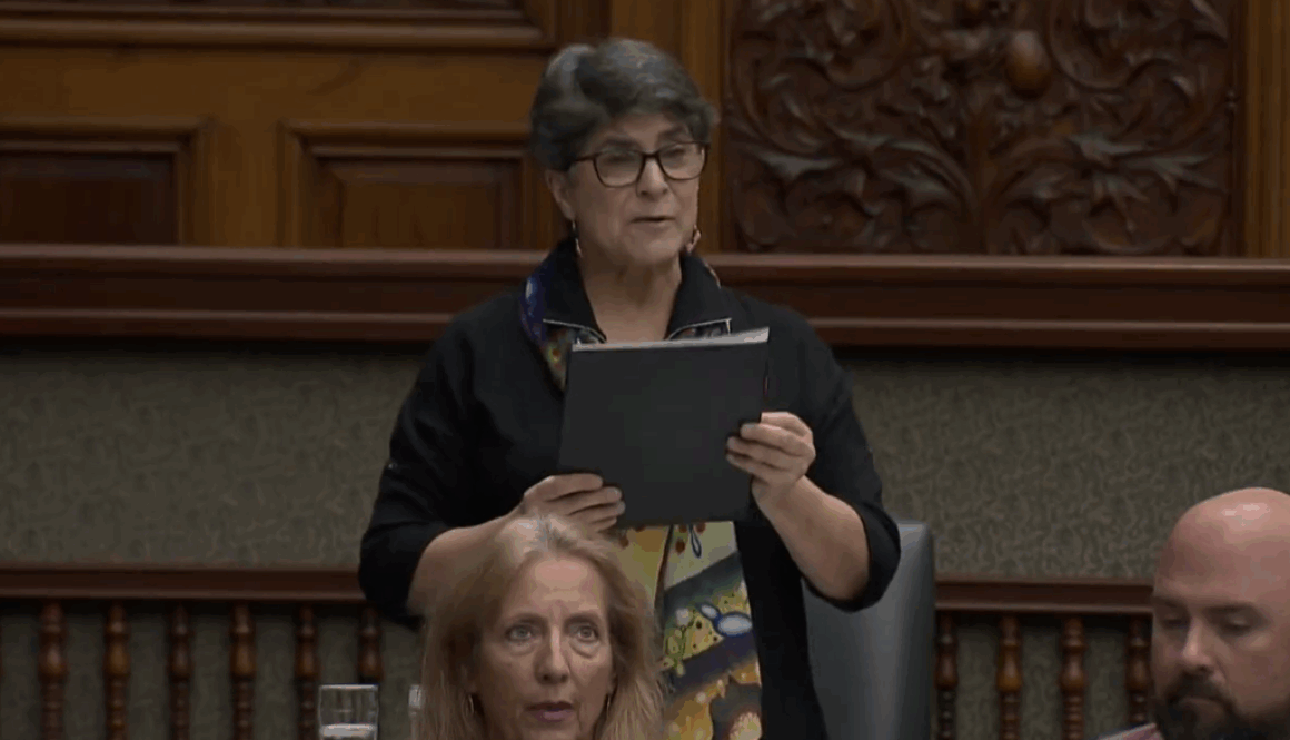 Lise Vaugeois Nov 3 205