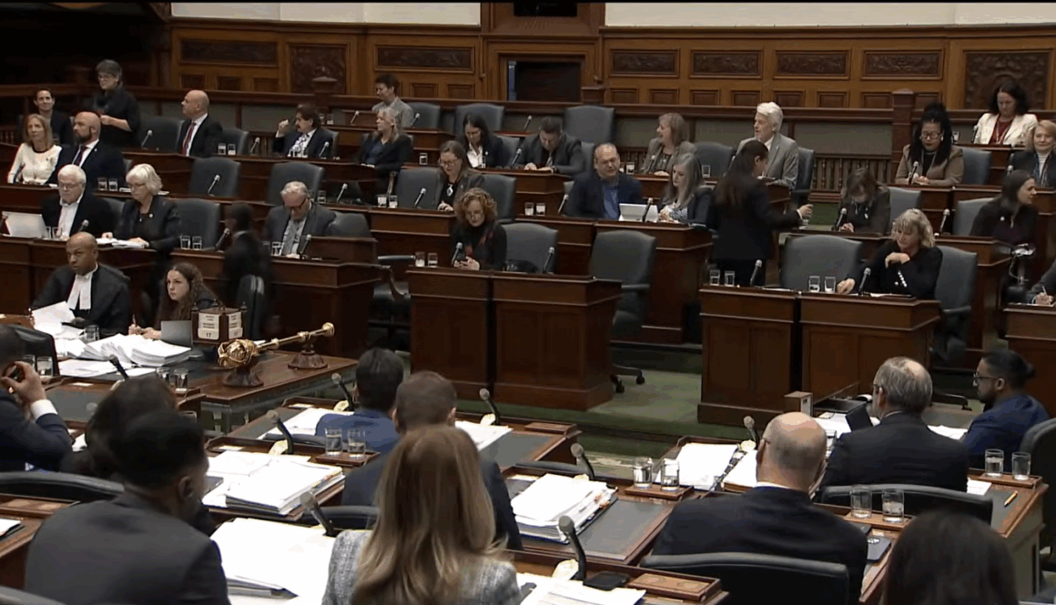 Ontario Legislature Nov 17 2025