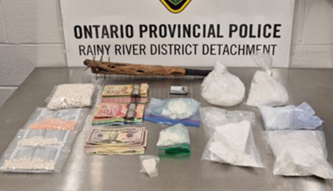 Sylvia McKinnon drug bust Nov 21 2025