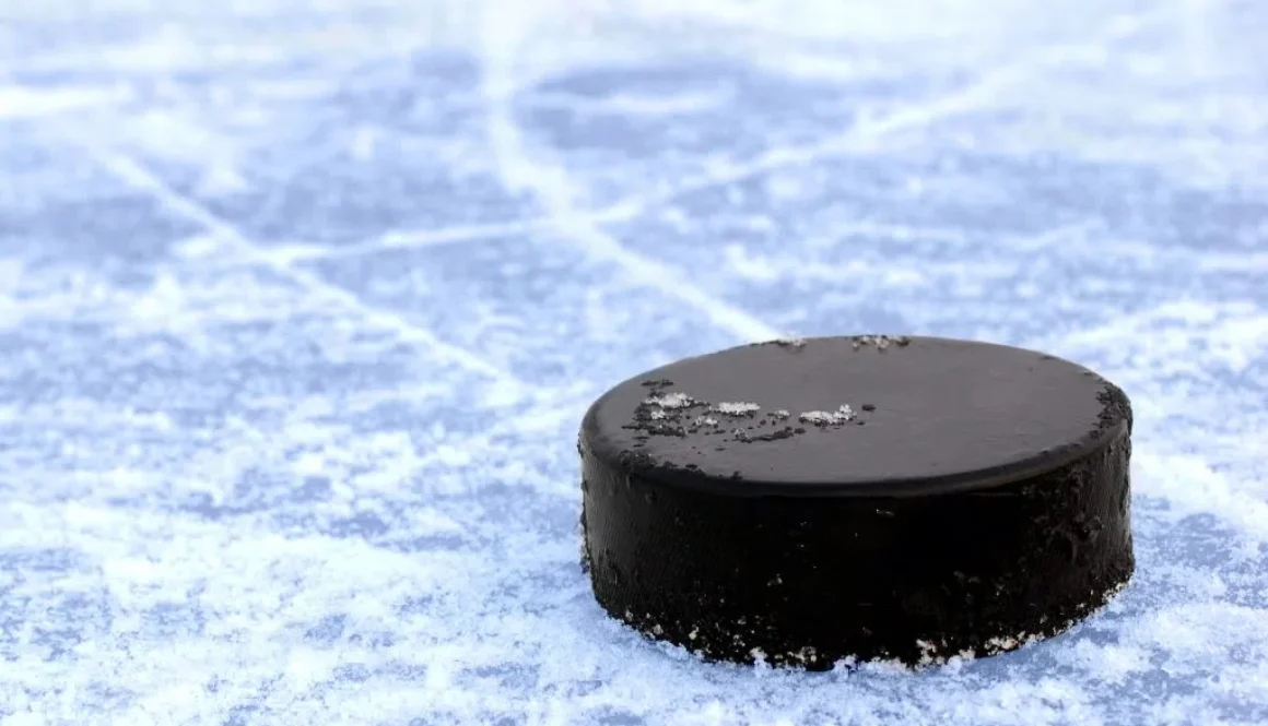 hockey puck