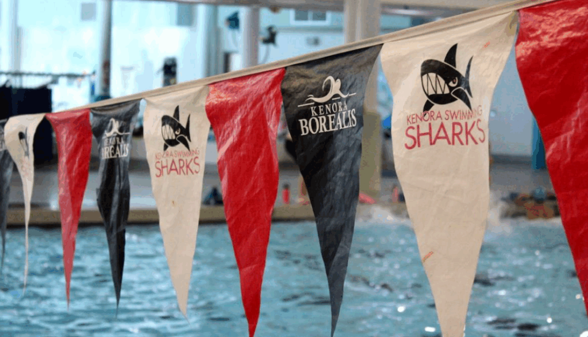 sharks pennants