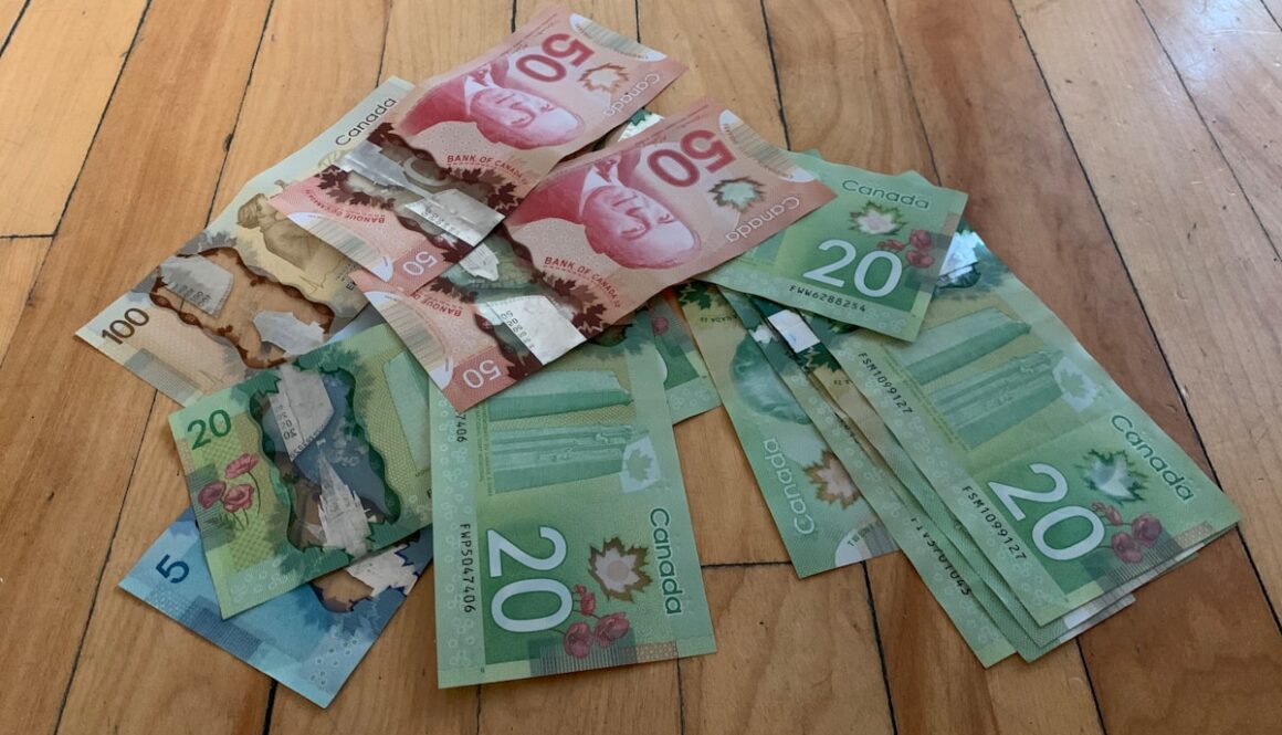 10 and 20 banknotes on brown wooden table